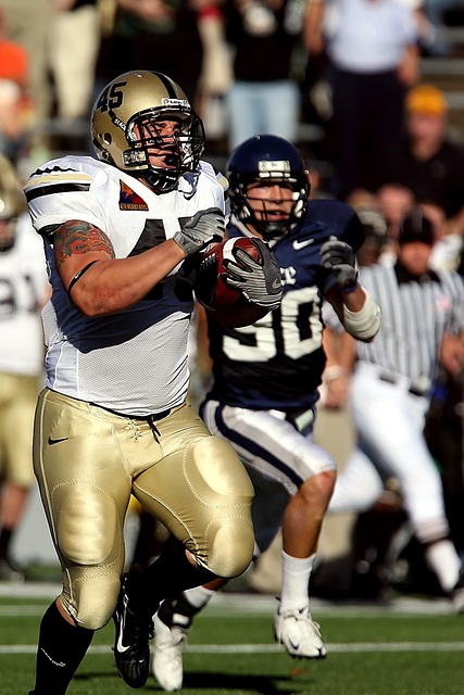 不少成功的 不少成功的